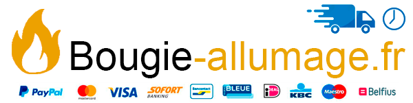 Bougie d’allumage pour poêle à pellets